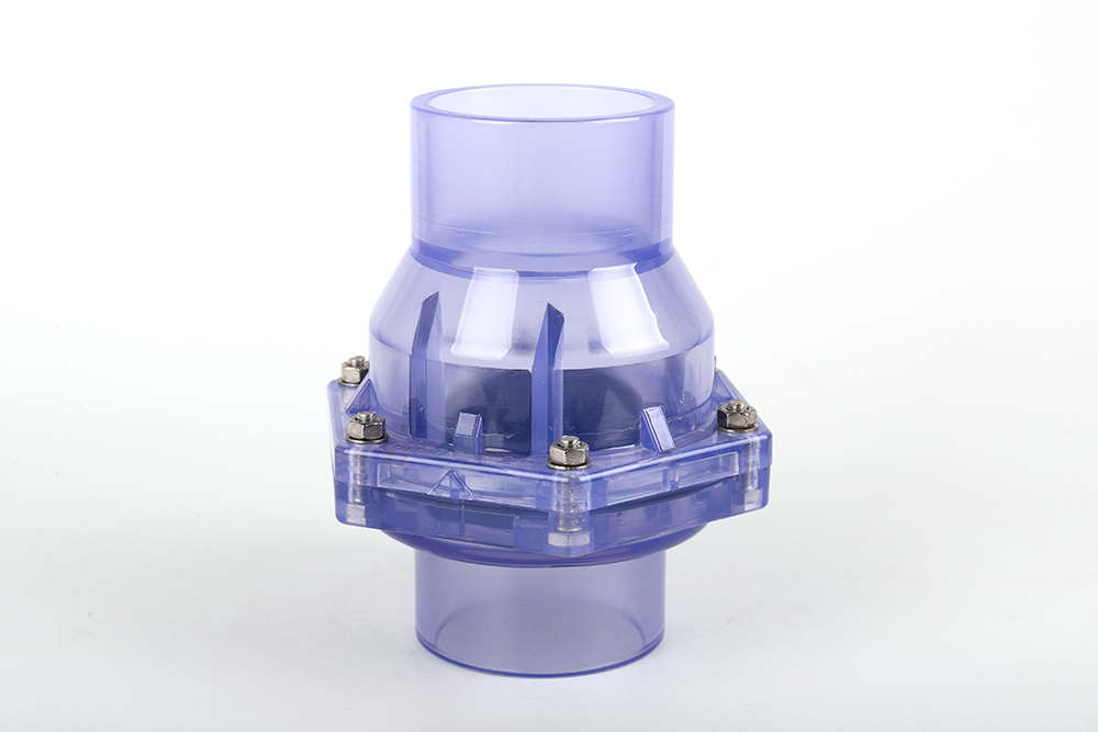 黄石透明翻板式止回阀